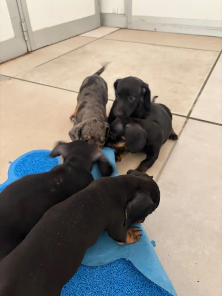 Terremoto · fotografia 5